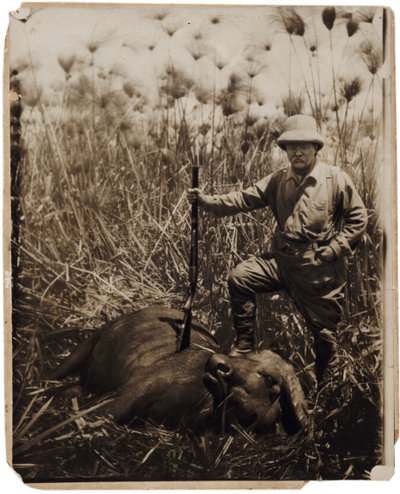 Col. Roosevelt Standing Beside a Water Buffalo He Shot by Kermit Roosevelt